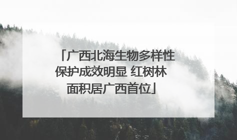 广西北海生物多样性保护成效明显 红树林面积居广西首位