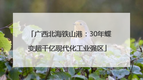 广西北海铁山港：30年蝶变超千亿现代化工业强区