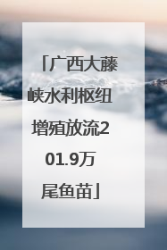 广西大藤峡水利枢纽增殖放流201.9万尾鱼苗