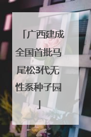 广西建成全国首批马尾松3代无性系种子园