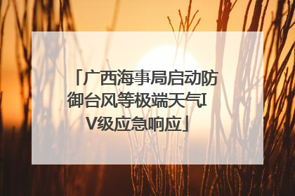 广西海事局启动防御台风等极端天气IV级应急响应