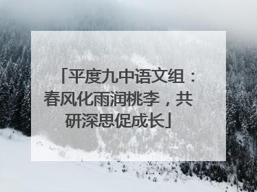 平度九中语文组：春风化雨润桃李，共研深思促成长