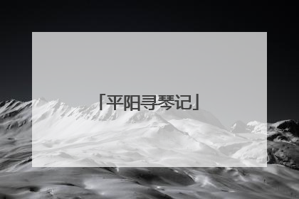 平阳寻琴记