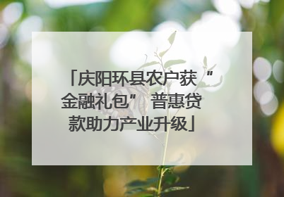 庆阳环县农户获“金融礼包” 普惠贷款助力产业升级
