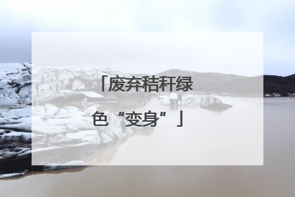 废弃秸秆绿色“变身”