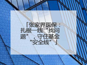 张家界医保：扎根一线“找问题”，守住基金“安全线”
