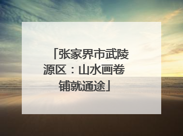 张家界市武陵源区：山水画卷铺就通途