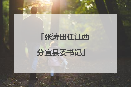 张涛出任江西分宜县委书记