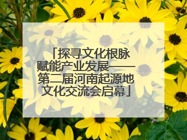 探寻文化根脉 赋能产业发展——第二届河南起源地文化交流会启幕