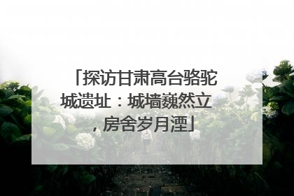 探访甘肃高台骆驼城遗址：城墙巍然立，房舍岁月湮