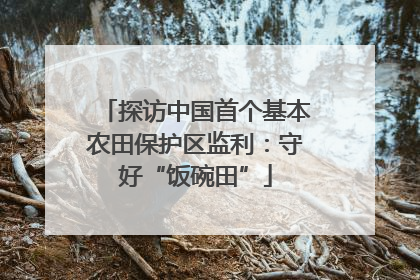 探访中国首个基本农田保护区监利：守好“饭碗田”