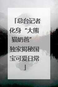 总台记者化身“大熊猫奶爸” 独家揭秘国宝可爱日常
