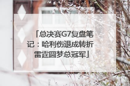 总决赛G7复盘笔记：哈利伤退成转折 雷霆圆梦总冠军