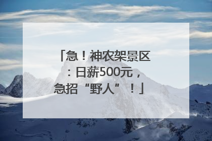 急！神农架景区：日薪500元，急招“野人”！