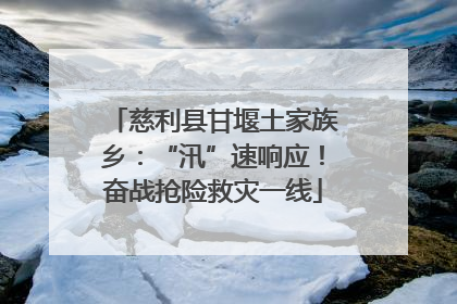 慈利县甘堰土家族乡:“汛”速响应!奋战抢险救灾一线