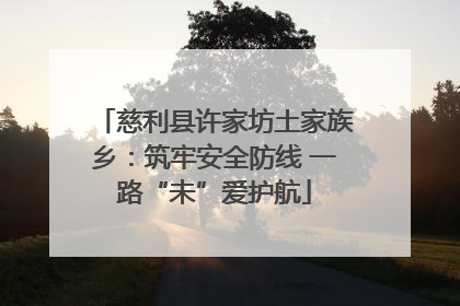 慈利县许家坊土家族乡：筑牢安全防线 一路“未”爱护航