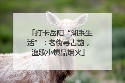 打卡岳阳“湖系生活”：老街寻古韵，渔歌小镇品烟火