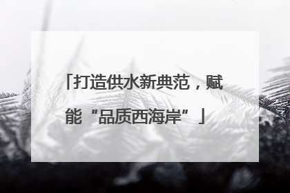 打造供水新典范，赋能“品质西海岸”