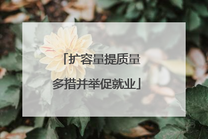 扩容量提质量 多措并举促就业