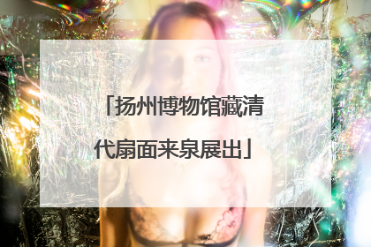 扬州博物馆藏清代扇面来泉展出