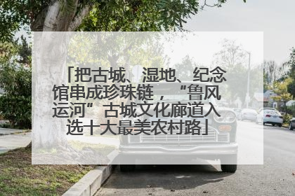 把古城、湿地、纪念馆串成珍珠链，“鲁风运河”古城文化廊道入选十大最美农村路