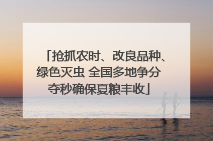 抢抓农时、改良品种、绿色灭虫 全国多地争分夺秒确保夏粮丰收
