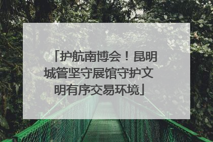 护航南博会！昆明城管坚守展馆守护文明有序交易环境