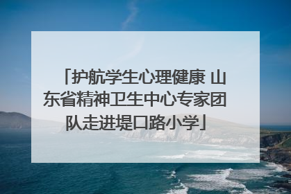 护航学生心理健康 山东省精神卫生中心专家团队走进堤口路小学