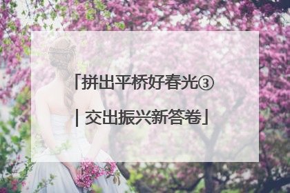 拼出平桥好春光③｜交出振兴新答卷