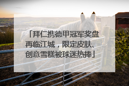 拜仁携德甲冠军奖盘再临江城，限定皮肤、创意雪糕被球迷热捧