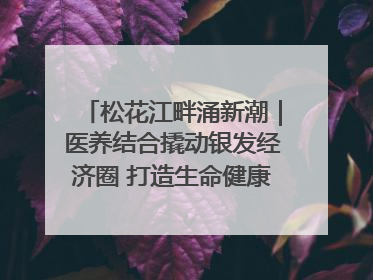 松花江畔涌新潮｜医养结合撬动银发经济圈 打造生命健康产业新样本