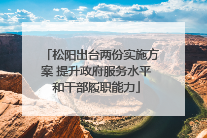 松阳出台两份实施方案 提升政府服务水平和干部履职能力