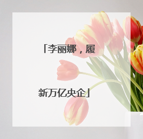 李丽娜，履新万亿央企