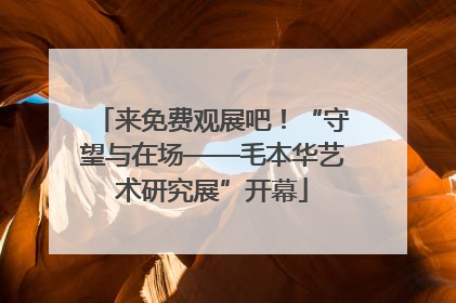 来免费观展吧！“守望与在场——毛本华艺术研究展”开幕