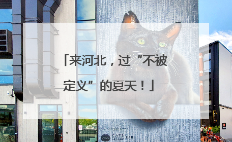 来河北，过“不被定义”的夏天！
