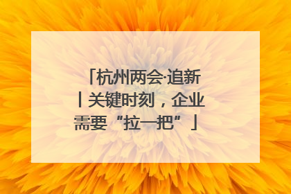杭州两会·追新丨关键时刻，企业需要“拉一把”