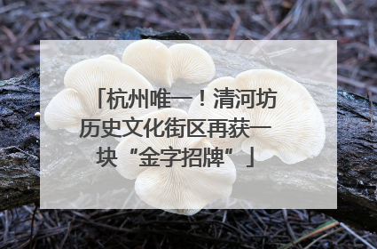 杭州唯一！清河坊历史文化街区再获一块“金字招牌”