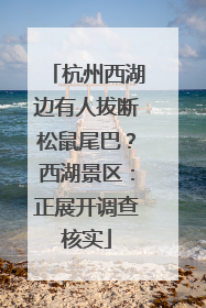 杭州西湖边有人拔断松鼠尾巴？西湖景区：正展开调查核实