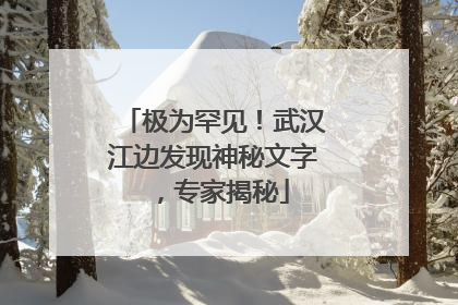 极为罕见！武汉江边发现神秘文字，专家揭秘