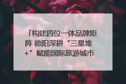 构建四位一体品牌矩阵 德阳深耕“三星堆+”赋能国际旅游城市建设｜文旅局长说
