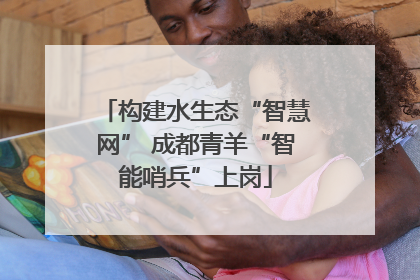 构建水生态“智慧网” 成都青羊“智能哨兵”上岗