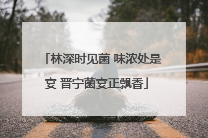 林深时见菌 味浓处是宴 晋宁菌宴正飘香