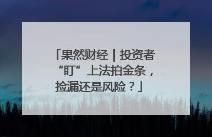 果然财经｜投资者“盯”上法拍金条，捡漏还是风险？