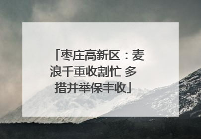 枣庄高新区：麦浪千重收割忙 多措并举保丰收