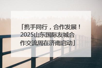 携手同行，合作发展！2025山东国际友城合作交流周在济南启动