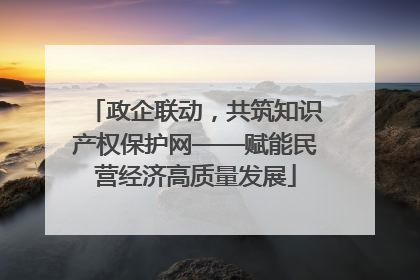 政企联动，共筑知识产权保护网——赋能民营经济高质量发展