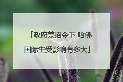 政府禁招令下 哈佛国际生受影响有多大