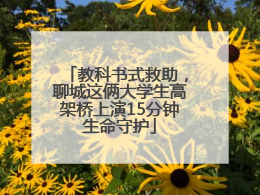 教科书式救助，聊城这俩大学生高架桥上演15分钟生命守护