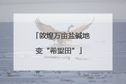 敦煌万亩盐碱地变“希望田”