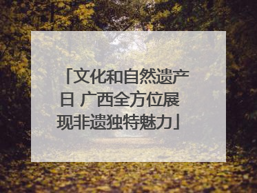 文化和自然遗产日 广西全方位展现非遗独特魅力